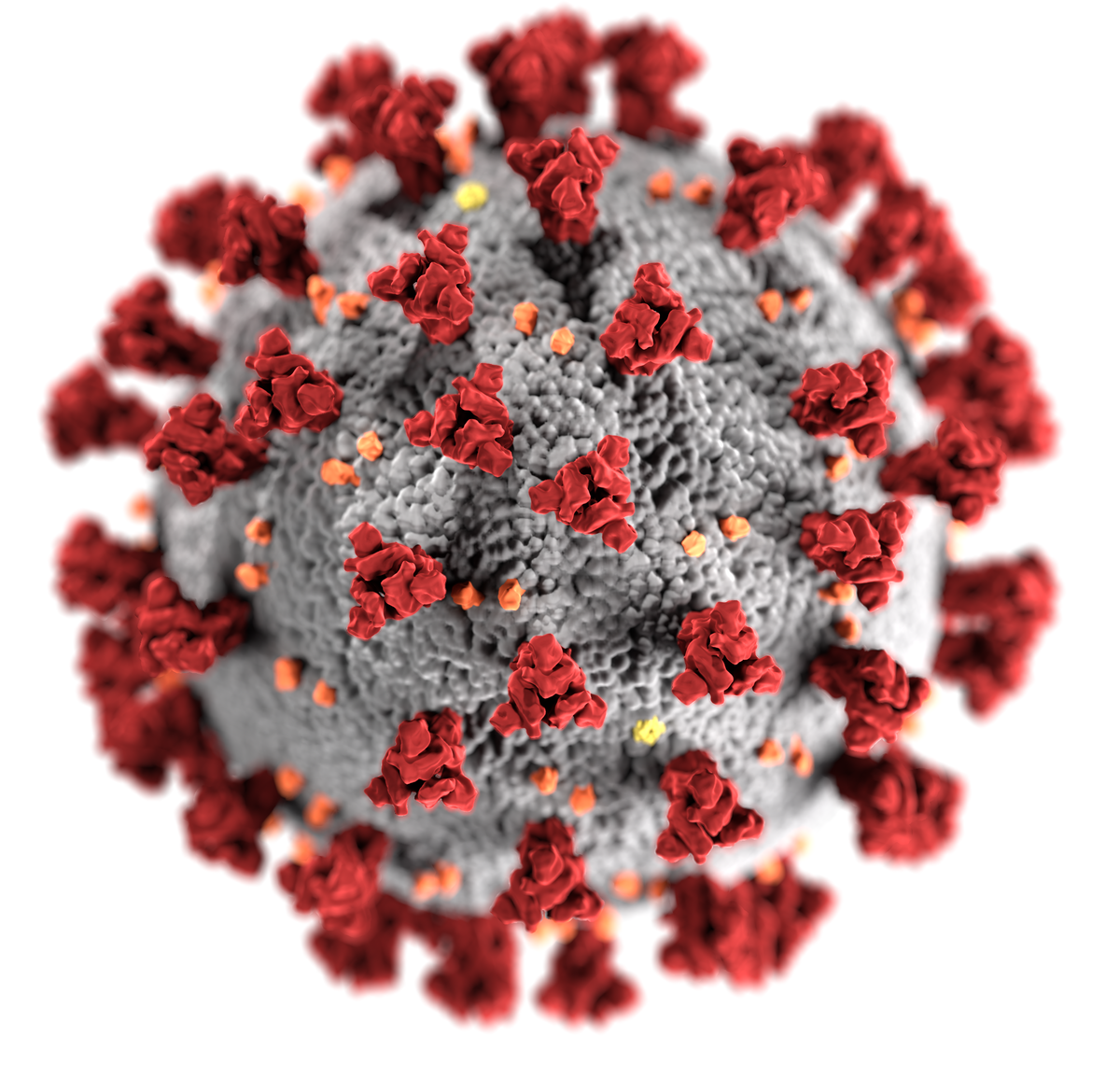 Coronavirus: Unnecessary panic?