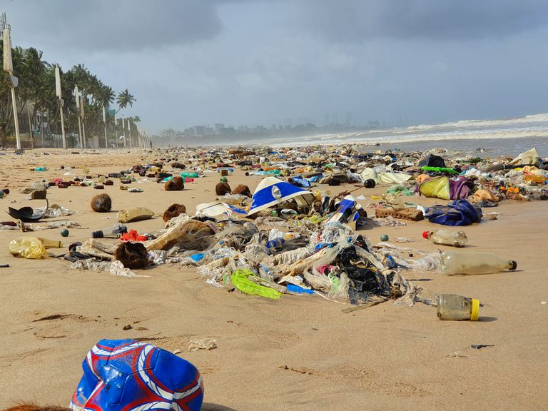 CAS CLUB FEATURE: Lac Leman Beach Clean-Up Team