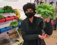 Using Hydroponics To Create “A Very Successful Salad” In The STEM Center