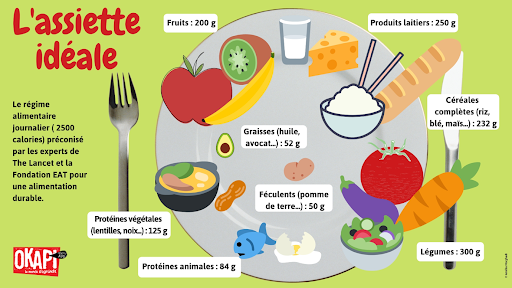 Alimentation : L’importance de l’équilibre