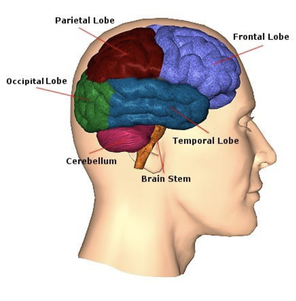 The Science behind Personality Disorders