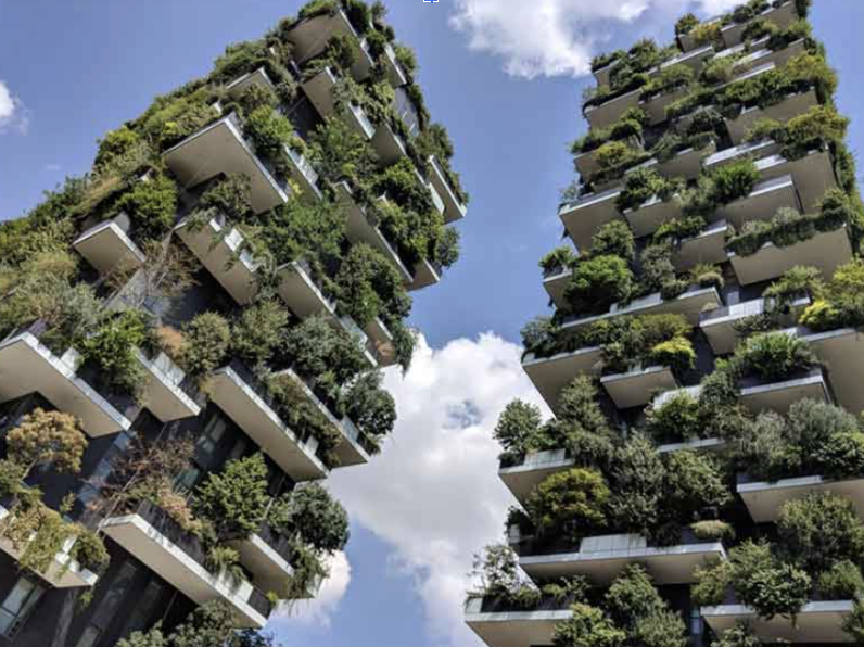 Vertical Gardens and Their Contribution to Sustainable Urban Living