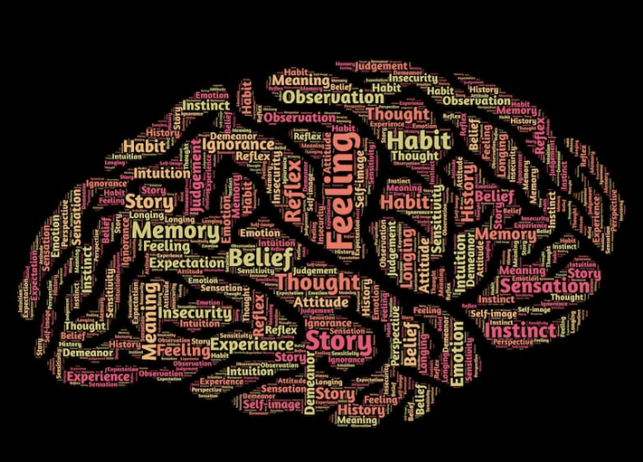 Your Brain is Lying to You 