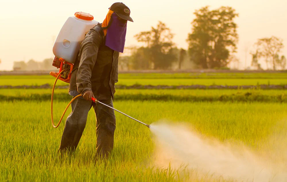 Toxic or Essential? The Chemistry and Controversy of Pesticides